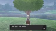 Image via Game Freak